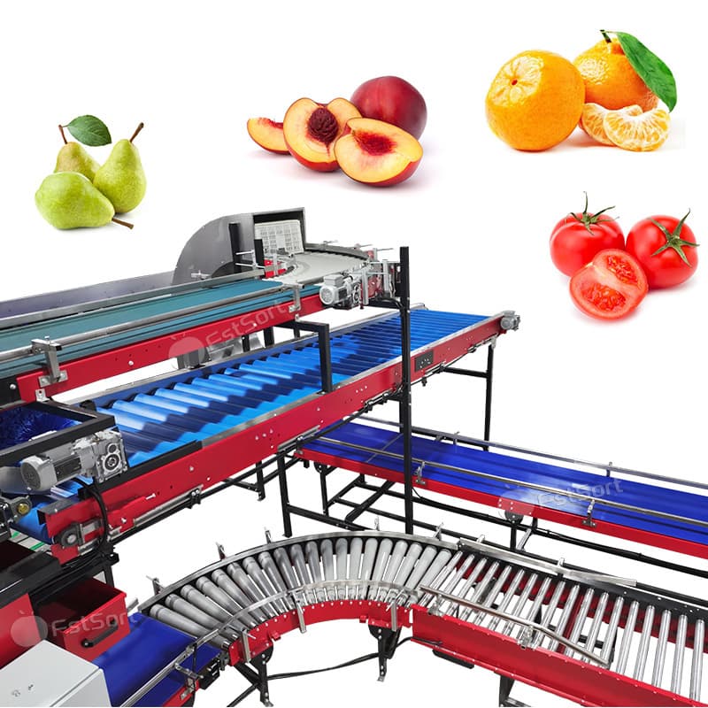 images/1769570899247citrus 5.jpg